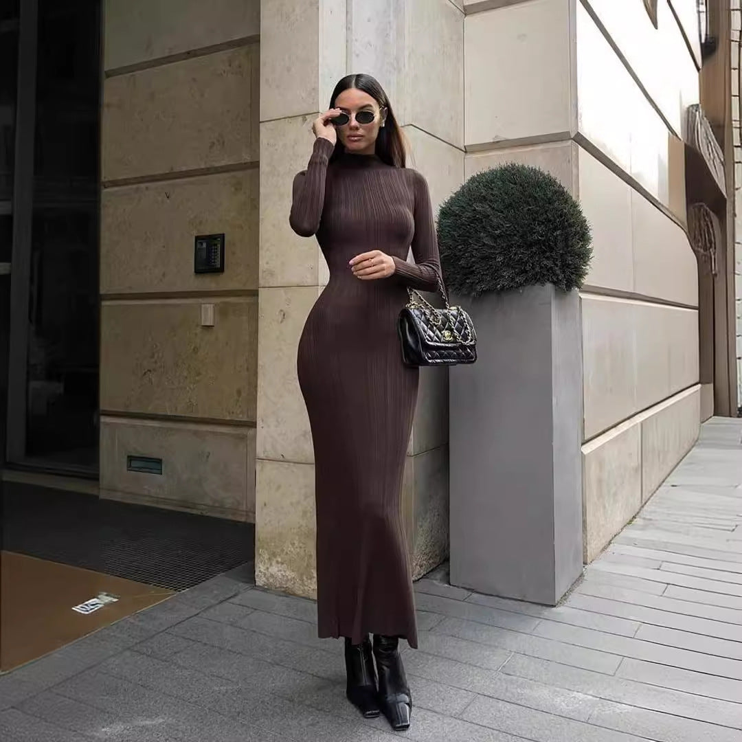 Turtleneck Striped Knit Dress