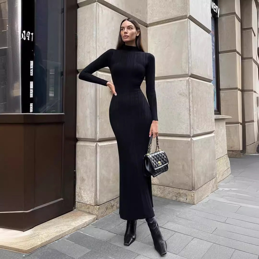Turtleneck Striped Knit Dress