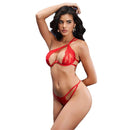 Sexy Lingerie Lace Transparent Three-Point Temptation Padded Push-Up Bra Two-Piece Set